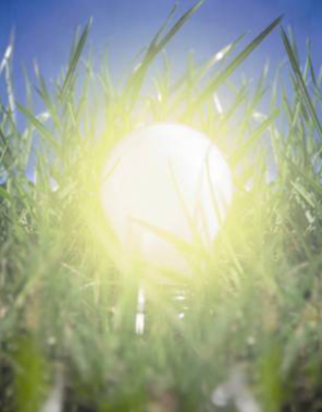 Energieschleuder raus - Sonnenenergie Energieschleuder raus - Sonnenenergie